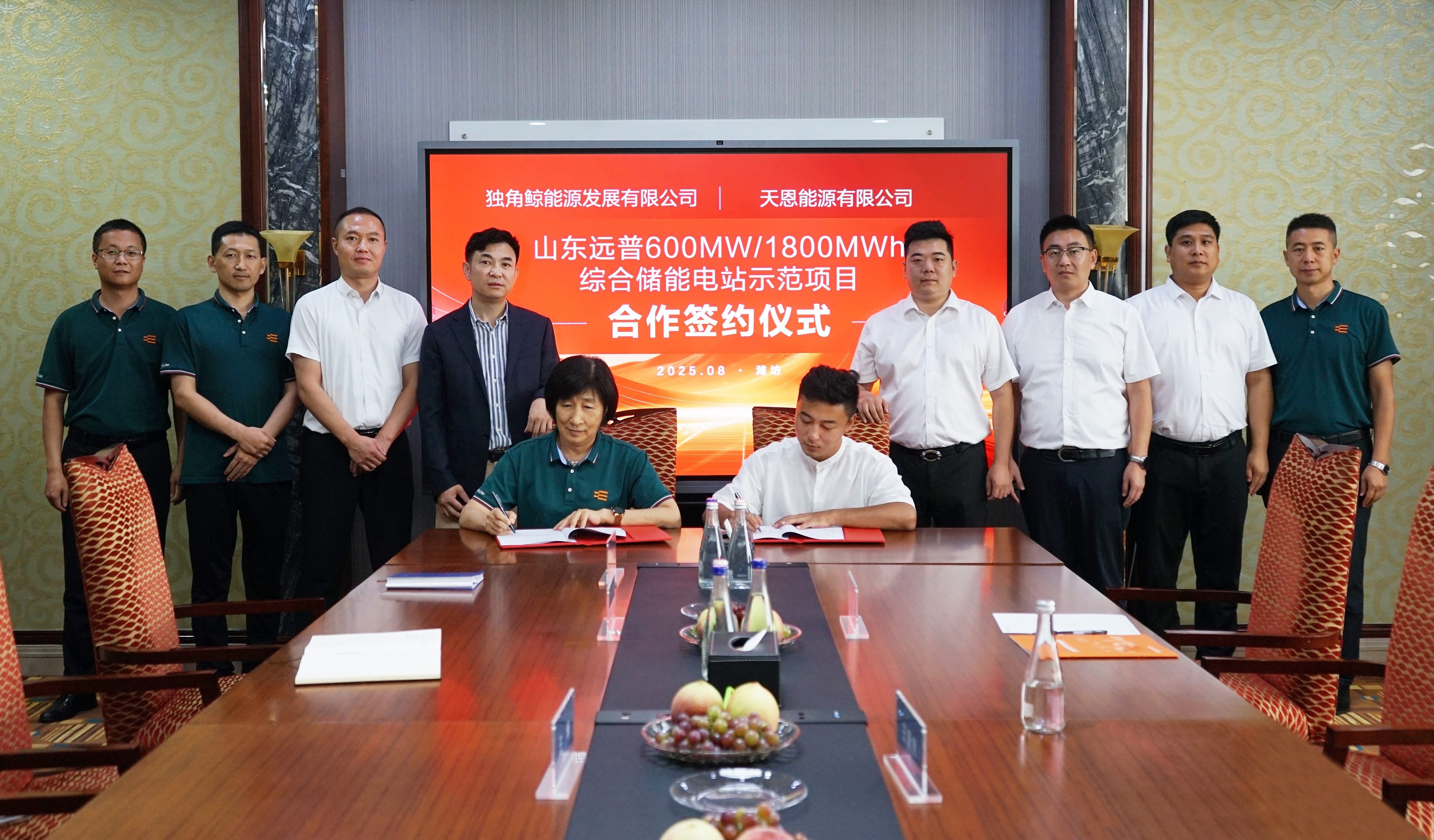 共筑新程！独角鲸能源与天恩能源携手共建山东省最大混合储能电站